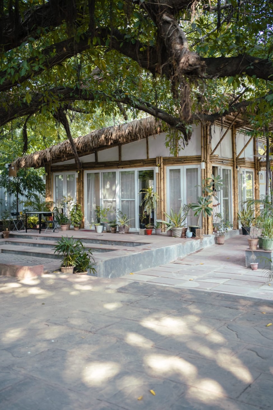 Project Otenga: the courtyard under the Pilkhan tree, the bamboo-and-thatch structure, and the signed wall (3 of 4)
